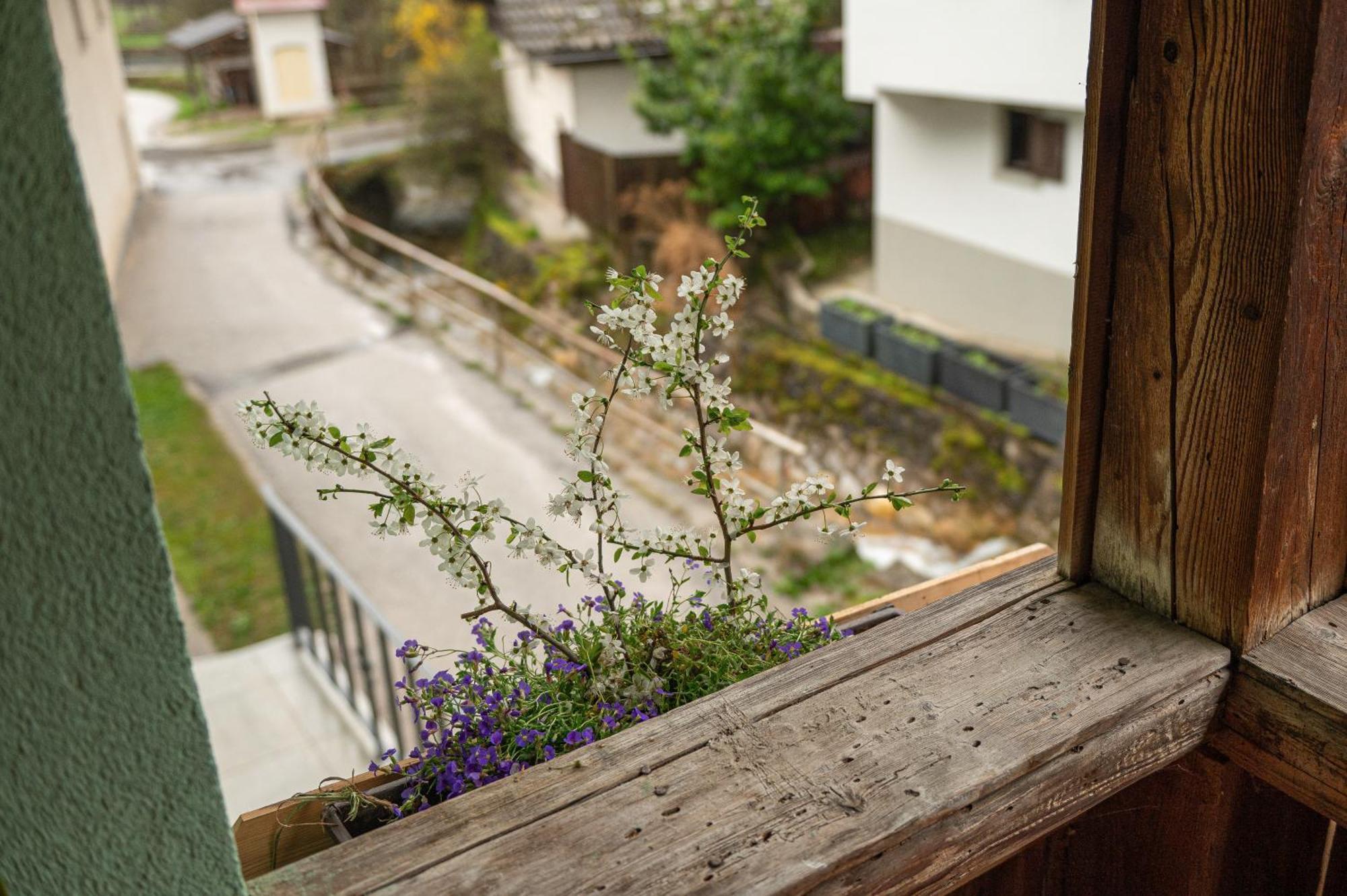Ferienwohnung Zelena Hisa Pri Bjov Bohinjska Bela Exterior foto