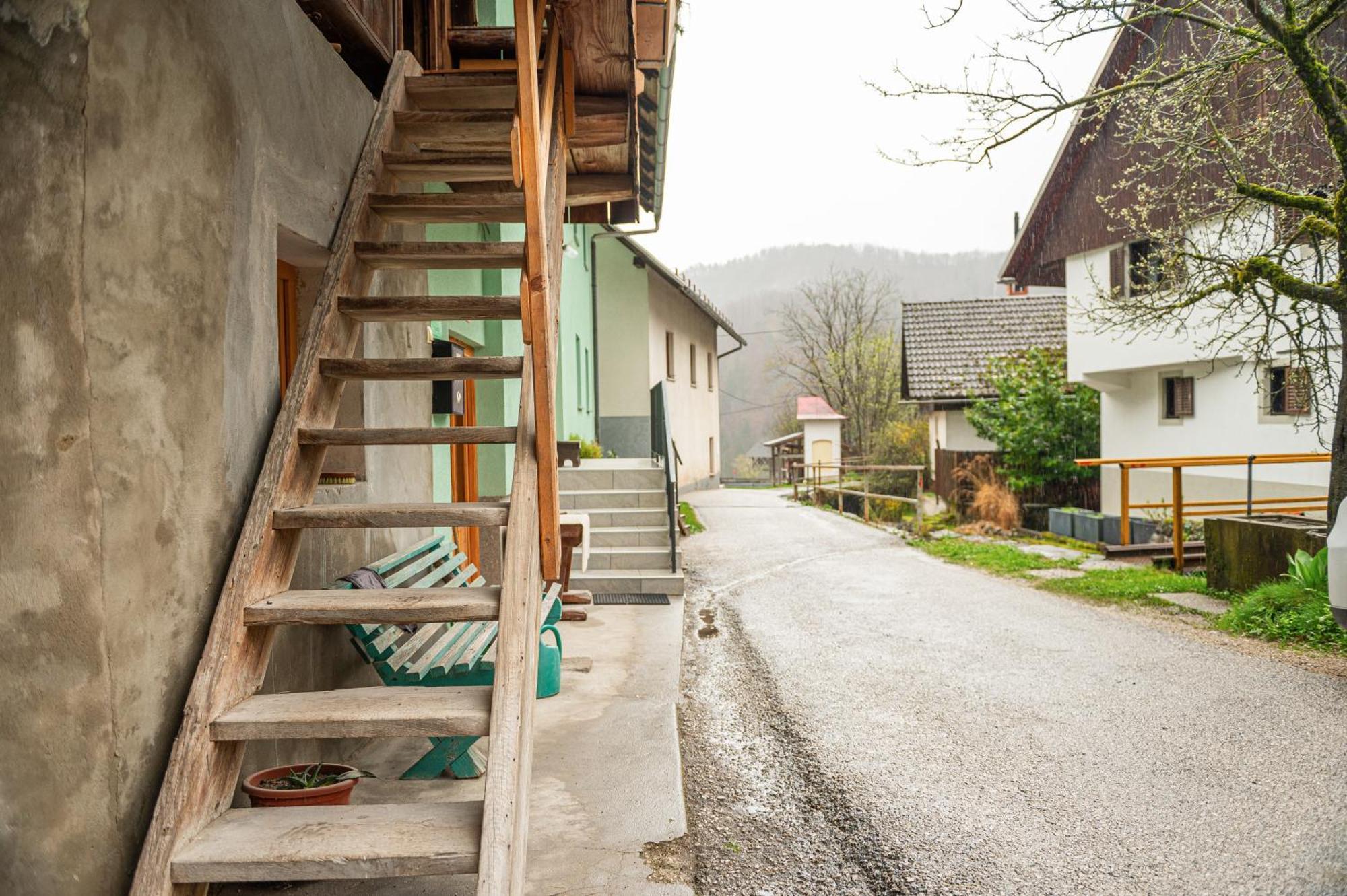 Ferienwohnung Zelena Hisa Pri Bjov Bohinjska Bela Exterior foto