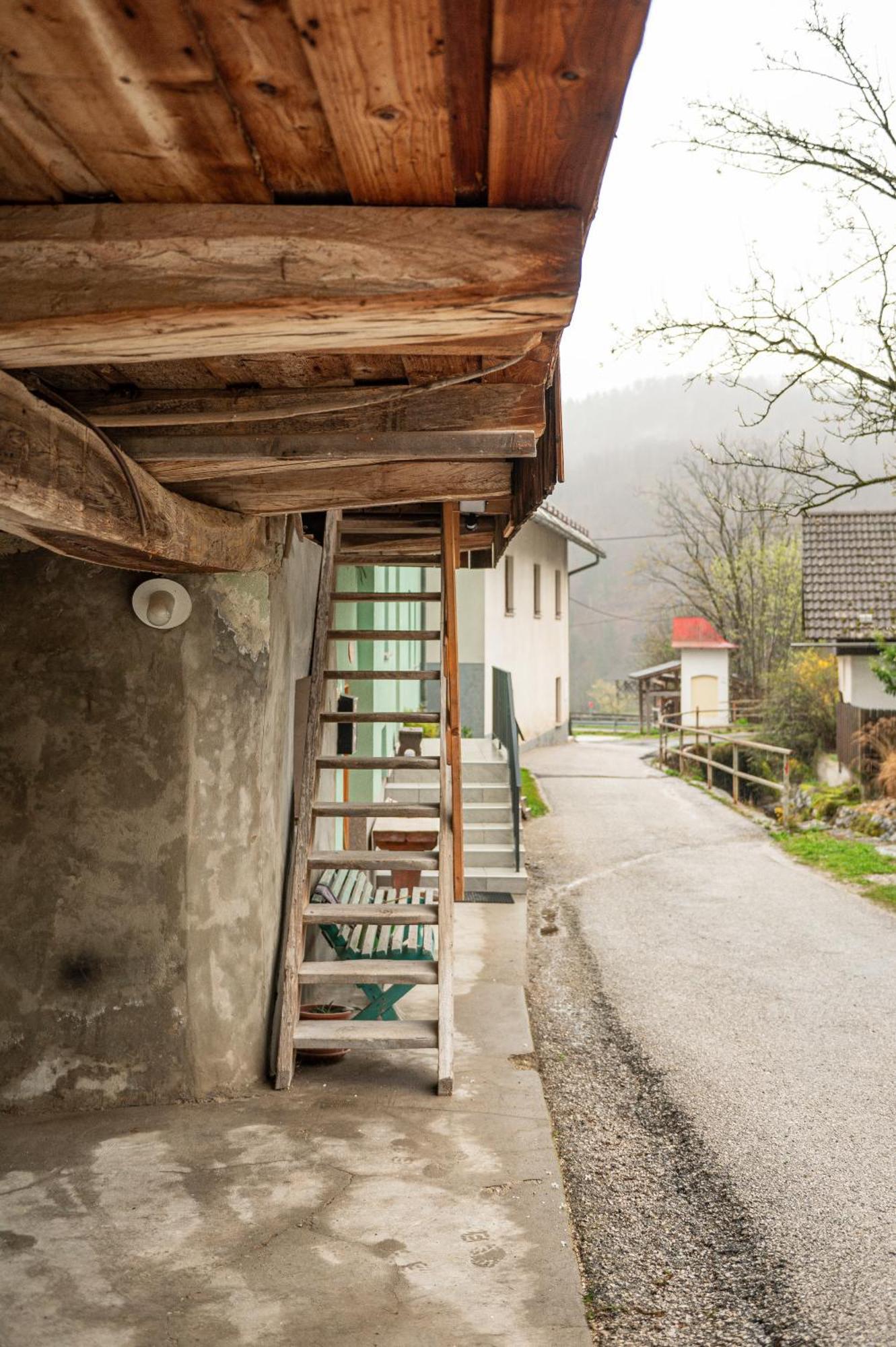 Ferienwohnung Zelena Hisa Pri Bjov Bohinjska Bela Exterior foto
