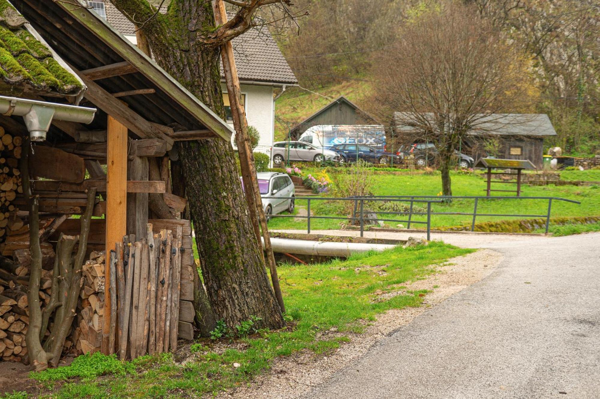 Ferienwohnung Zelena Hisa Pri Bjov Bohinjska Bela Exterior foto