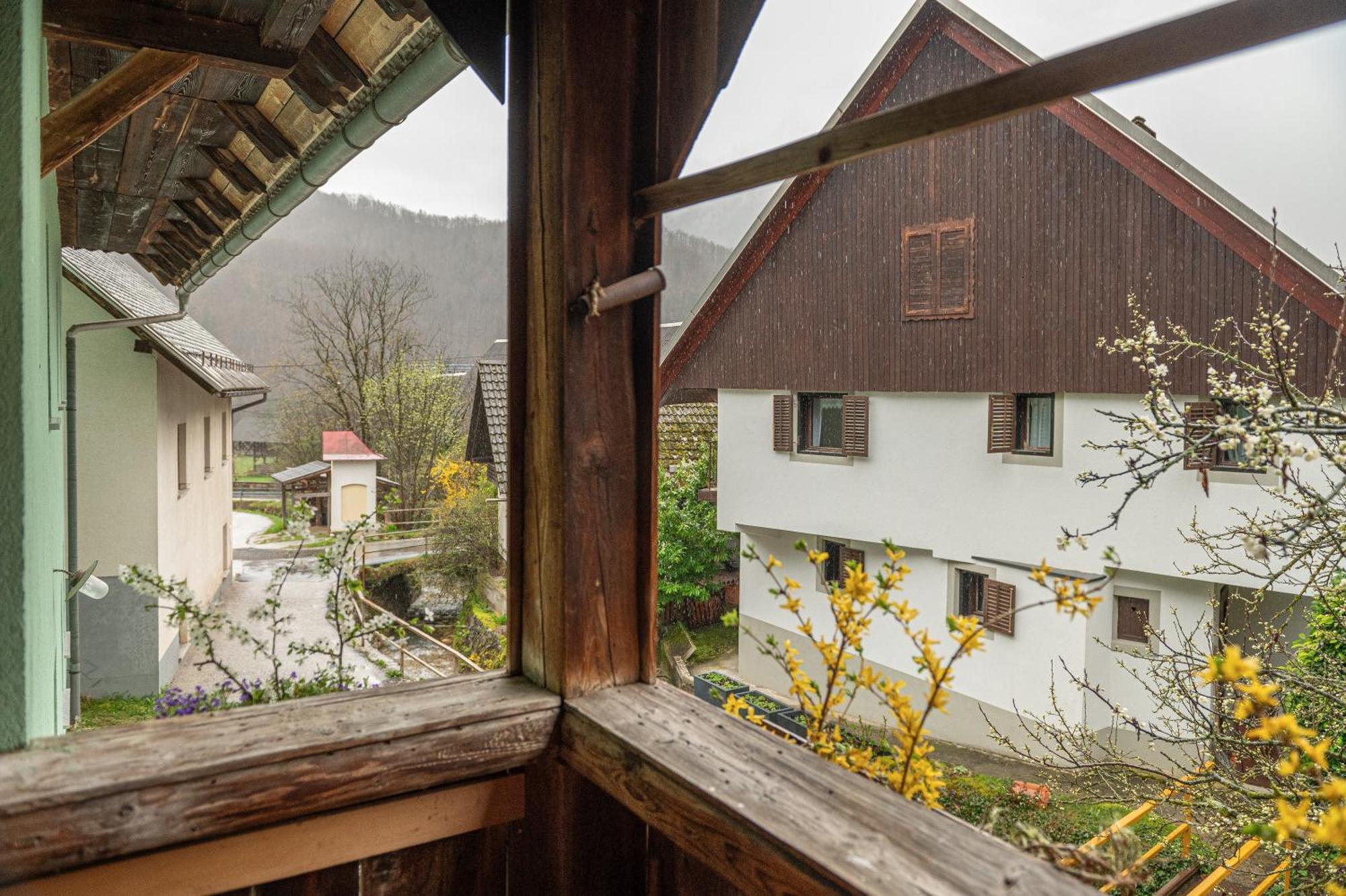 Ferienwohnung Zelena Hisa Pri Bjov Bohinjska Bela Exterior foto